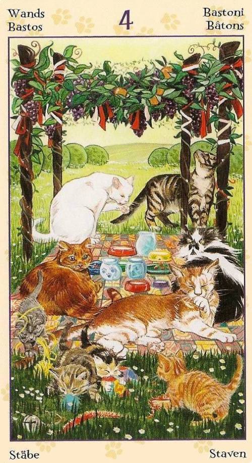 Cat Tarot Decks - Tarot Decks